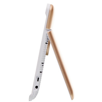 We Found Pirates at the Consumer Electronics Show