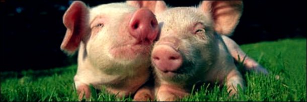 5 Irrational Fears (Even Rational People Have)