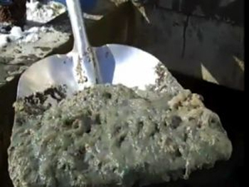 5 Bizarre Animal Chain Reactions Our Daily Lives Are Causing