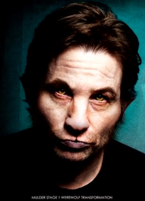 ARDO SAGE WTwou TRANTORMATON