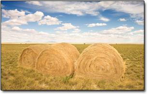 The 8 Most Incredible Things Slapped Together in a Day