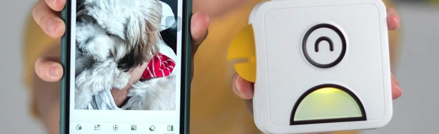 This Portable Printer Looks Like A Chicken And It's More Than Half Off