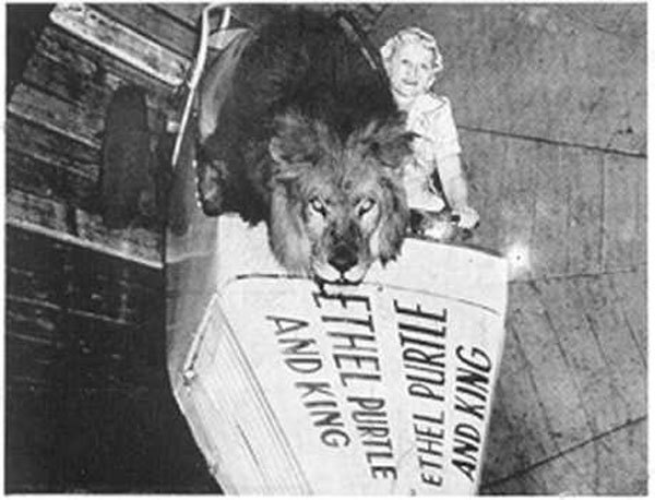 15 Old Photographs That Prove the World Used to Be Insane