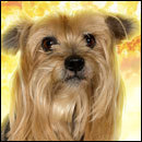 Cracked Round-Up: Day Trading Edition