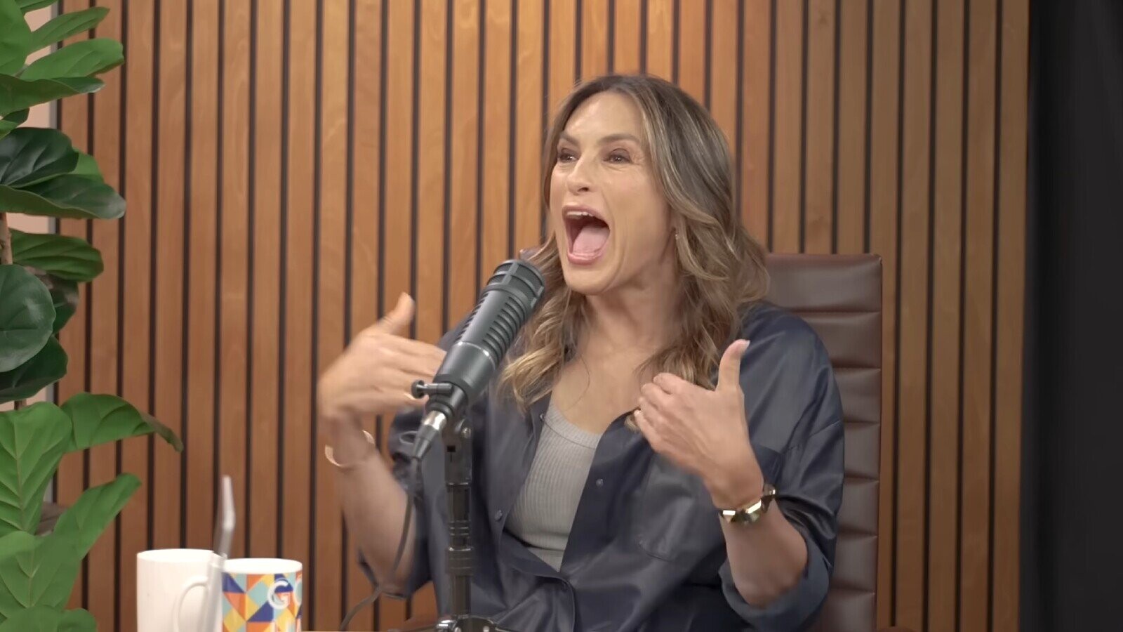Mariska Hargitay Says She Should Have Been A Comedian Instead of ...