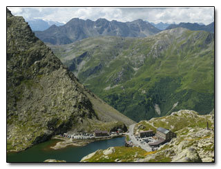 7 Dogs That Accomplished More Than We Ever Will