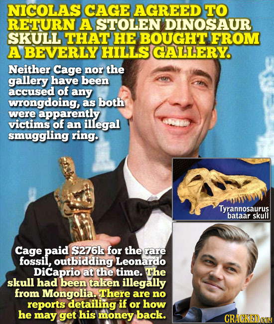 NICOLAS CAGE AGREED TO RETURN A STOLEN DINOSAUR SKULL THAT HE BOUGHT FROM A BEVERLY HILLS GALLERY Neither Cage nor the gallery have been accused of an