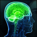 Test Placeholder - Please Use This ID