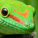 Cracked Round-Up: Debategasm Edition