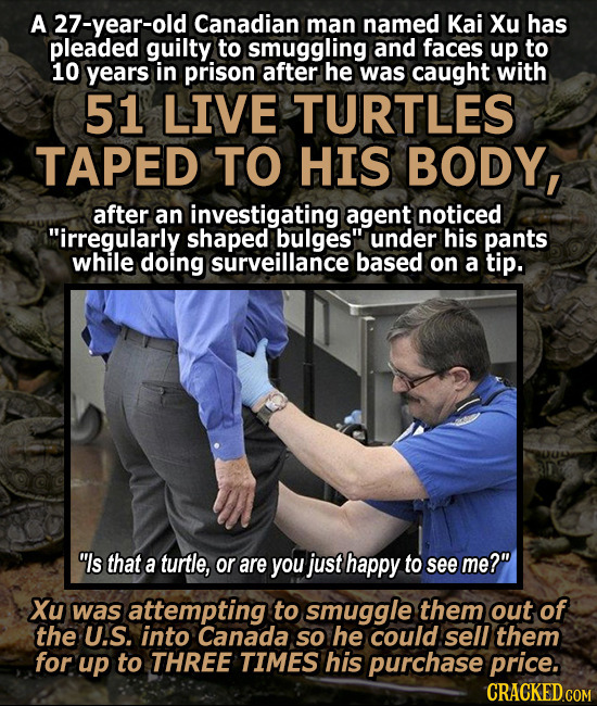 A 27-year-old Canadian man named Kai Xu has pleaded guilty to smuggling and faces up to 10 years in prison after he was caught with 51 LIVE TURTLES TA