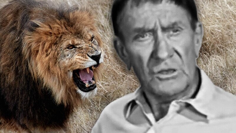 An Escaped Lion Almost Ate Uncle Charlie on ‘My Three Sons’ Set