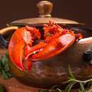 Cracked Round-Up: Shut Up About the Mayans Edition