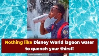 'Walt Disney World' Employee Says He Was Fired For Rating Water From Decorative Fountains