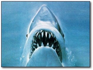 11 Celebrities Who Were Secretly Total Badasses