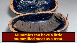 Mummies Got Packed With Mummy Snacks