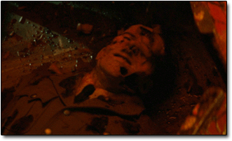 6 Movie and TV Universes That Overlap in Mind-blowing Ways