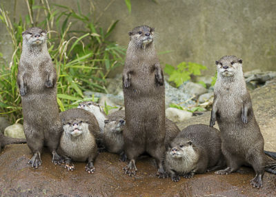 7 Reasons Gamergate Proves Humanity is Doomed