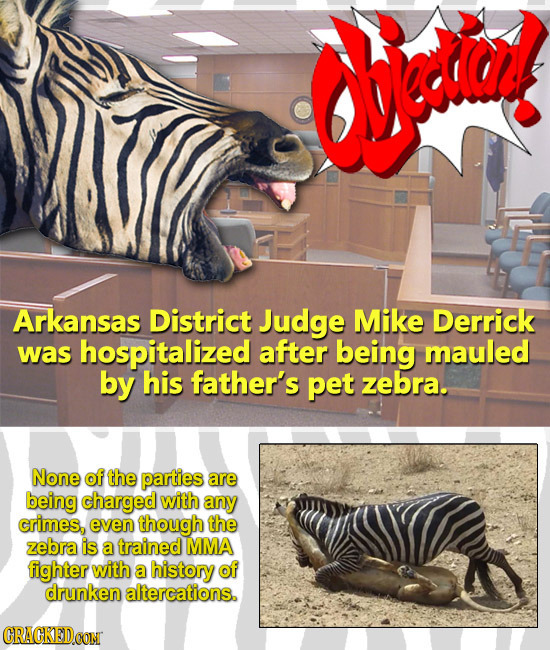 objdio! Arkansas District Judge Mike Derrick was hospitalized after being mauled by his father's pet zebra. None of the parties are being charged with