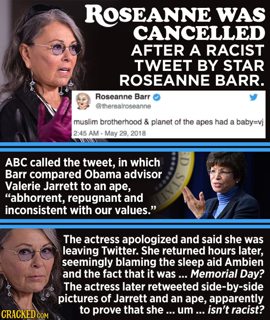 ROSEANNE WAS CANCELLED AFTER A RACIST TWEET BY STAR ROSEANNE BARR. Roseanne Barr @therealroseanne muslim brotherhood & planet of the apes had a baby=v