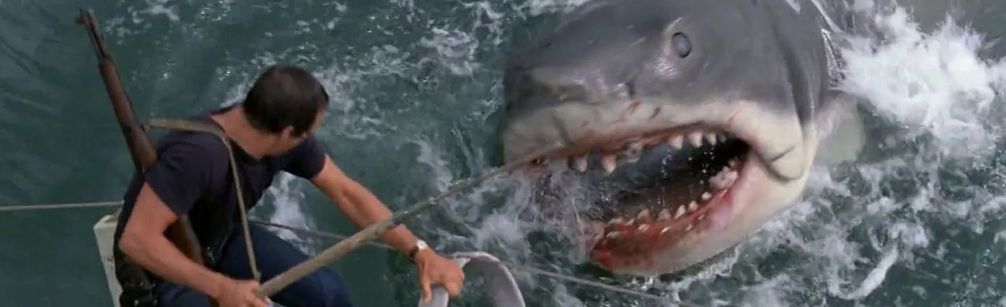 The Boat From ‘Jaws’ is Being Rebuilt to … Save Sharks?