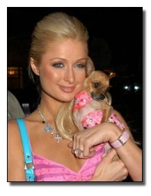 7 Popular 'Chick Flicks' That Secretly Hate Women