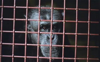 5 Unrealistic Movie Plot Twists That Really Happened IRL