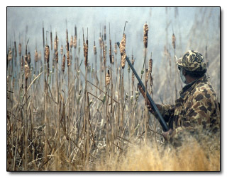 6 Things Rich People Need to Stop Saying (Update)