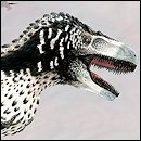 CRACKED ROUND-UP: Amateur Boxing Edition