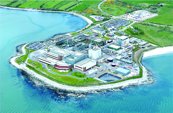 4 Hilarious Side Effects Of Living Next To Businesses