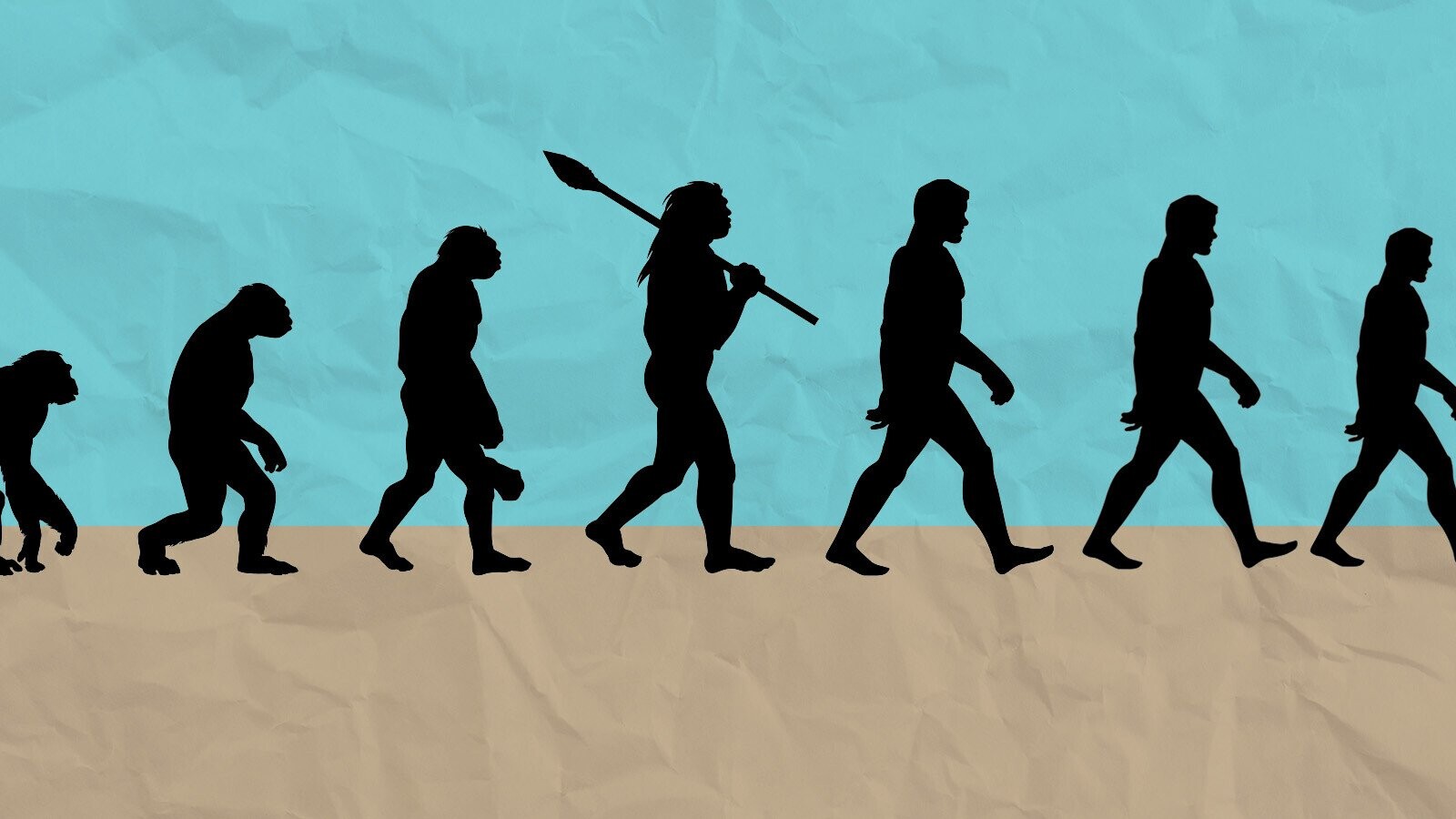 4 Ways Evolution Is Making Us Smaller | Cracked.com