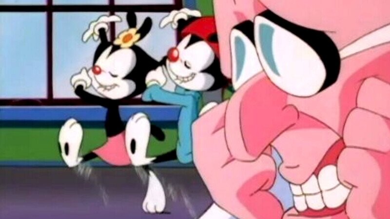 9 Things from ‘Animaniacs’ That Make Us Nostalgic for the 1990s ...