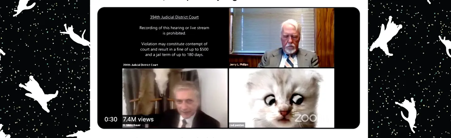'I'm Not A Cat': Lawyer Accidentally Uses Kitten Filter During 'Zoom' Court Appearance