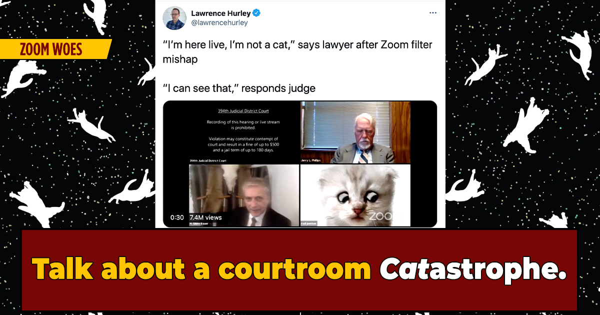 'I'm Not A Cat' Lawyer Accidentally Uses Kitten Filter During 'Zoom