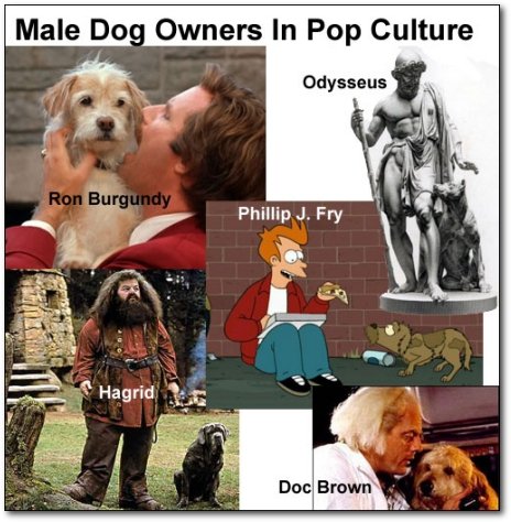 5 reasons the war between dog and cat