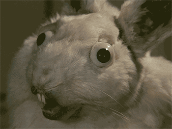 Svankmajer stop motion rabbit