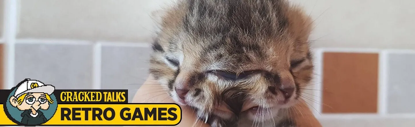 There's A Real Sonic The Hedgehog Gene (That Gives Cats Two Faces)