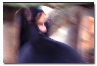 6 Lies About the Body You Learned in Kindergarten: Classic