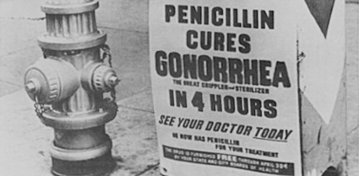 Penicillin PSA