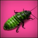 Cracked Round-Up: James Joyce Edition