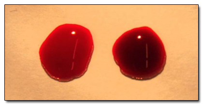 6 Lies About the Body You Learned in Kindergarten: Classic