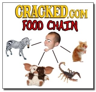 CRACKEDG COM FOOD CHAIN