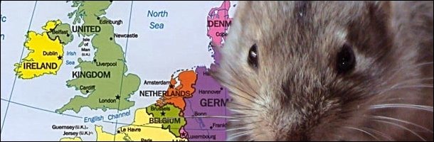 North Eirbuh Sea DENM UNITED Newcastie isle a Mae Dublin irish -. IRELAND Soa Lerpool KINGDOM Amsterdam Cann NETHERLANDS Hannoe 1o000 GERM Brainls Boe