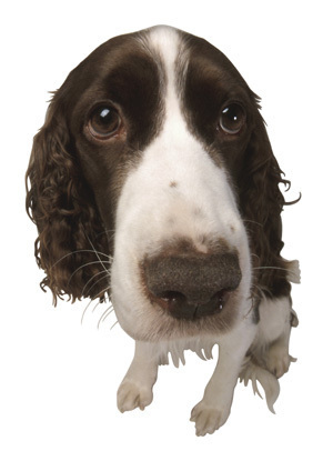 5 Reasons I'm Not Sorry for Burning Down Your Walmart