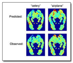 celery 'airplane' Predicted: Observed: 