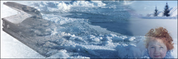 6 Lies About the Body You Learned in Kindergarten: Classic