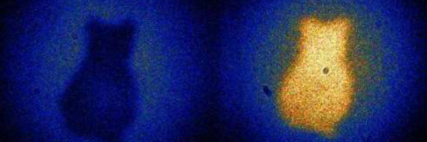 5 Mind-Blowing Images That Change How You See Everything