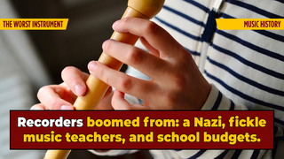 You Learned the Recorder Due To School Cheapness