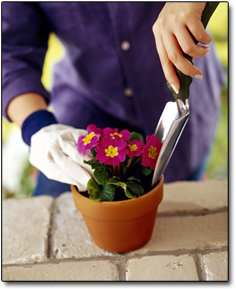 6 Reasons Your Plans to Move Abroad Might Not Work Out