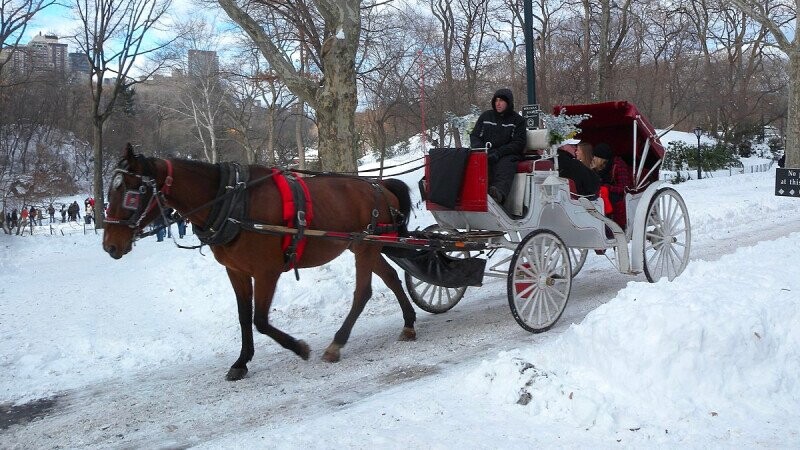 'Jingle Bells' Eyebrow-Arching History And Creation