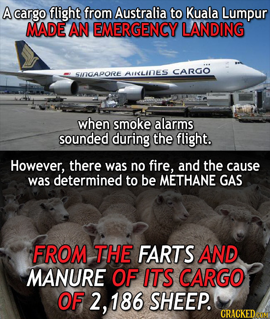 The 13 Most Insane Things Happening Right Now (11/10)